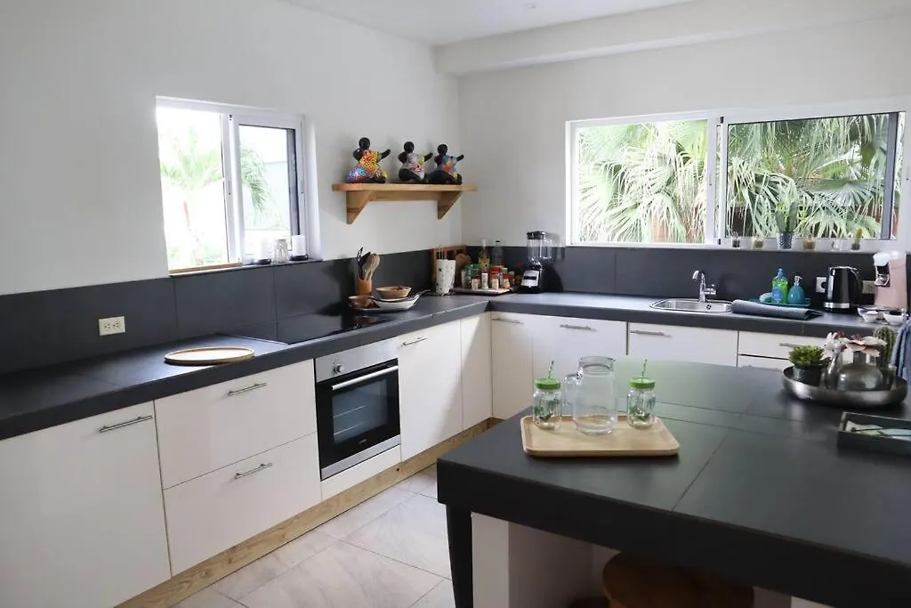 Villa + Private Pool Near Jan Thiel & Mambo Beach يلمستاد